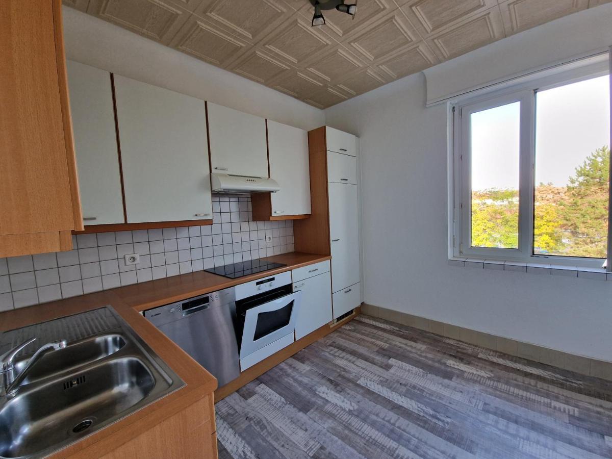 Nice Room 4 Minutes From Basel Shared Apartment Saint-Louis  Exteriér fotografie