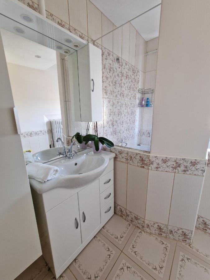 Nice Room 4 Minutes From Basel Shared Apartment Saint-Louis  Exteriér fotografie