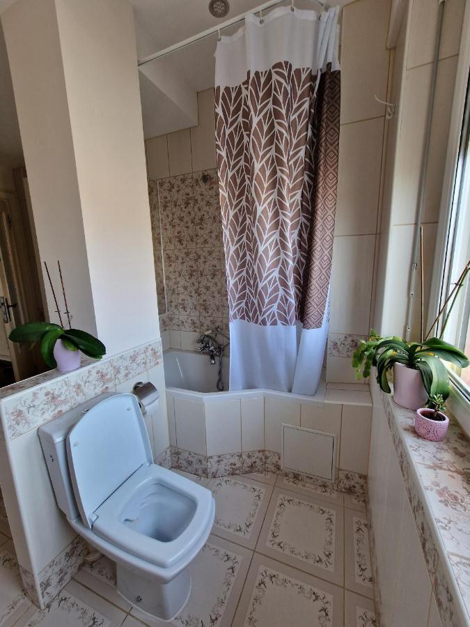 Nice Room 4 Minutes From Basel Shared Apartment Saint-Louis  Exteriér fotografie