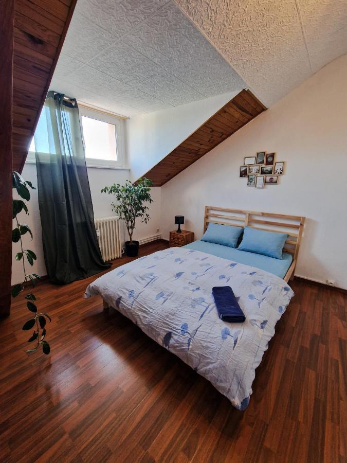 Nice Room 4 Minutes From Basel Shared Apartment Saint-Louis  Exteriér fotografie