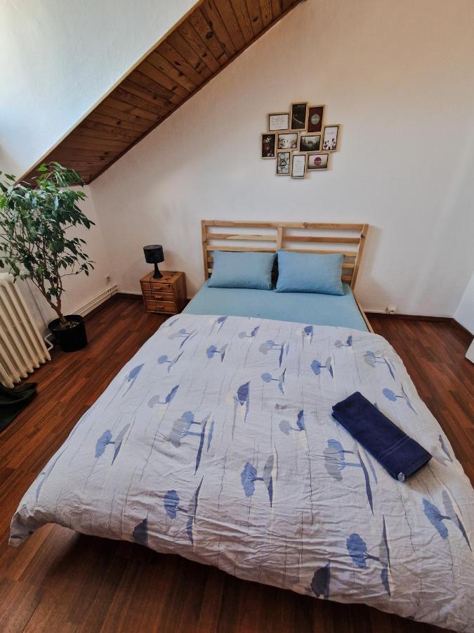 Nice Room 4 Minutes From Basel Shared Apartment Saint-Louis  Exteriér fotografie
