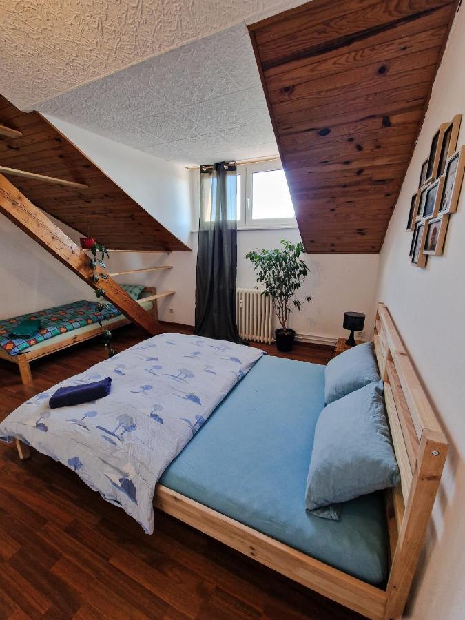 Nice Room 4 Minutes From Basel Shared Apartment Saint-Louis  Exteriér fotografie