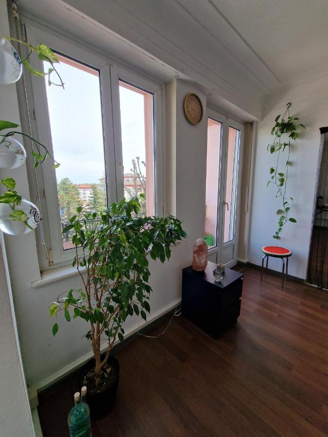 Nice Room 4 Minutes From Basel Shared Apartment Saint-Louis  Exteriér fotografie